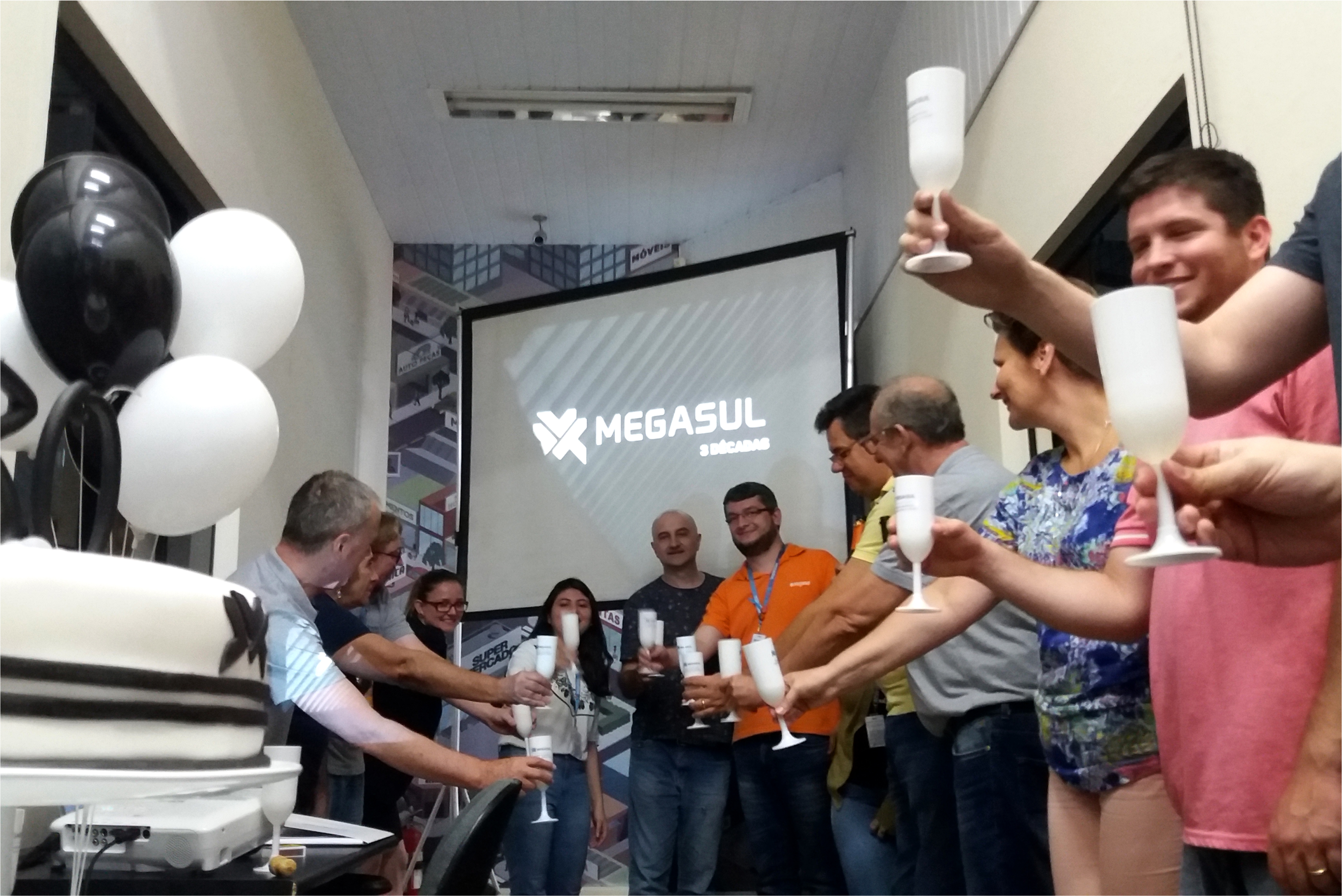 Megasul comemora 3 décadas desenvolvendo tecnologias para a evolução dos varejistas
